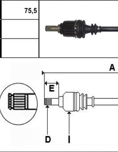 RE351